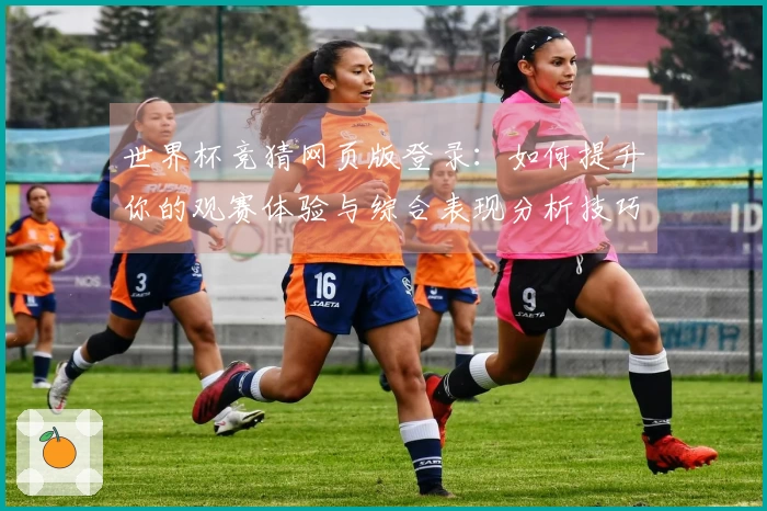 世界杯竞猜网页版登录：如何提升你的观赛体验与综合表现分析技巧