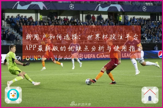 新用户如何选择：世界杯投注平台APP最新版的优缺点分析与使用指南