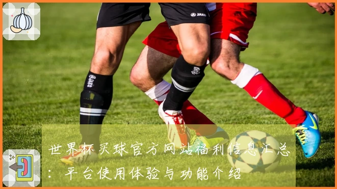 世界杯买球官方网站福利信息汇总:平台使用体验与功能介绍