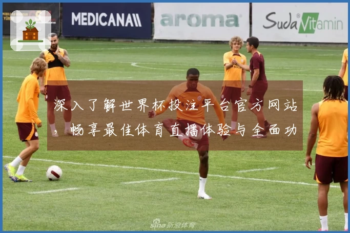 深入了解世界杯投注平台官方网站，畅享最佳体育直播体验与全面功能介绍
