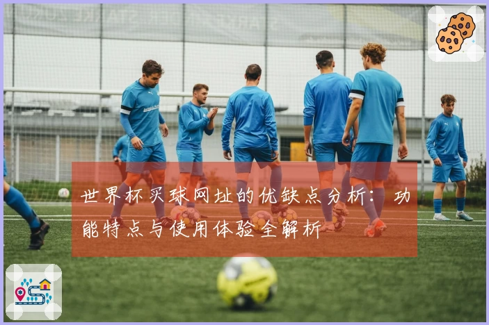 世界杯买球网址的优缺点分析：功能特点与使用体验全解析
